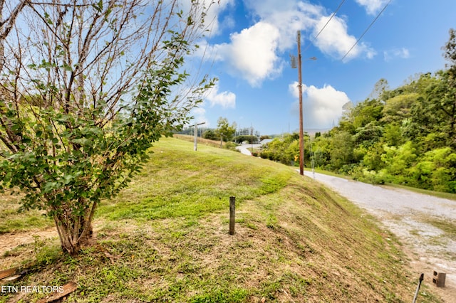 view of surrounding community