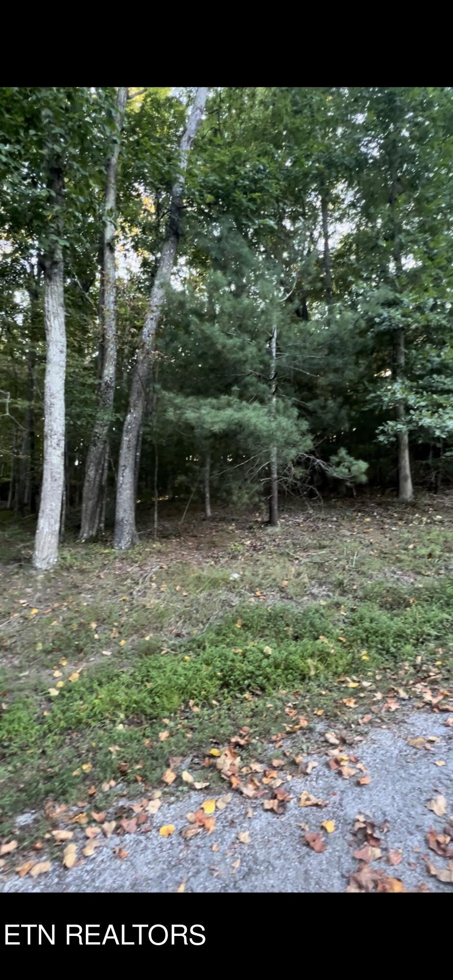 163 Lynhurst Dr, Crossville, TN 38558 - photo 2
