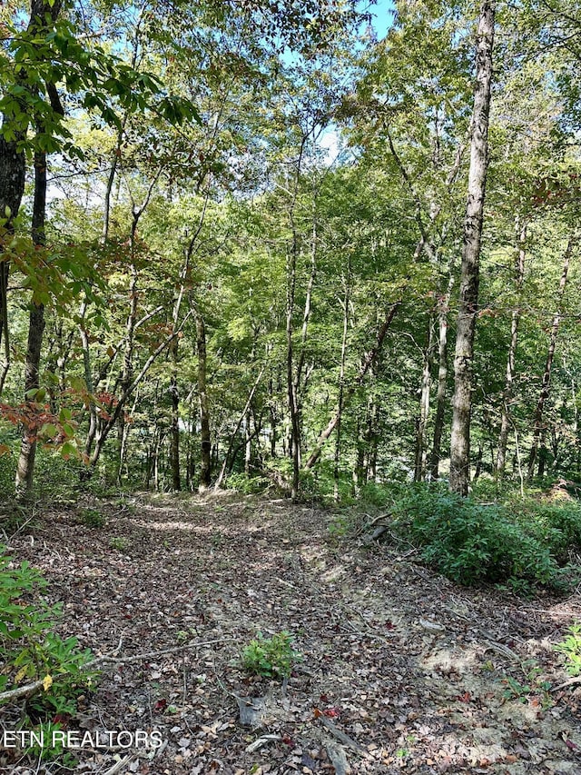 view of landscape with a forest view