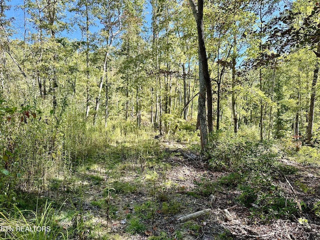 view of nature featuring a view of trees