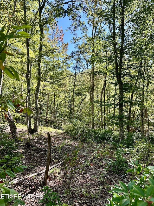 view of landscape featuring a forest view
