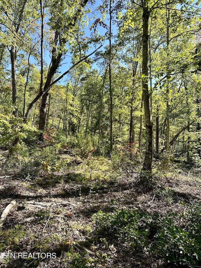 view of landscape featuring a view of trees