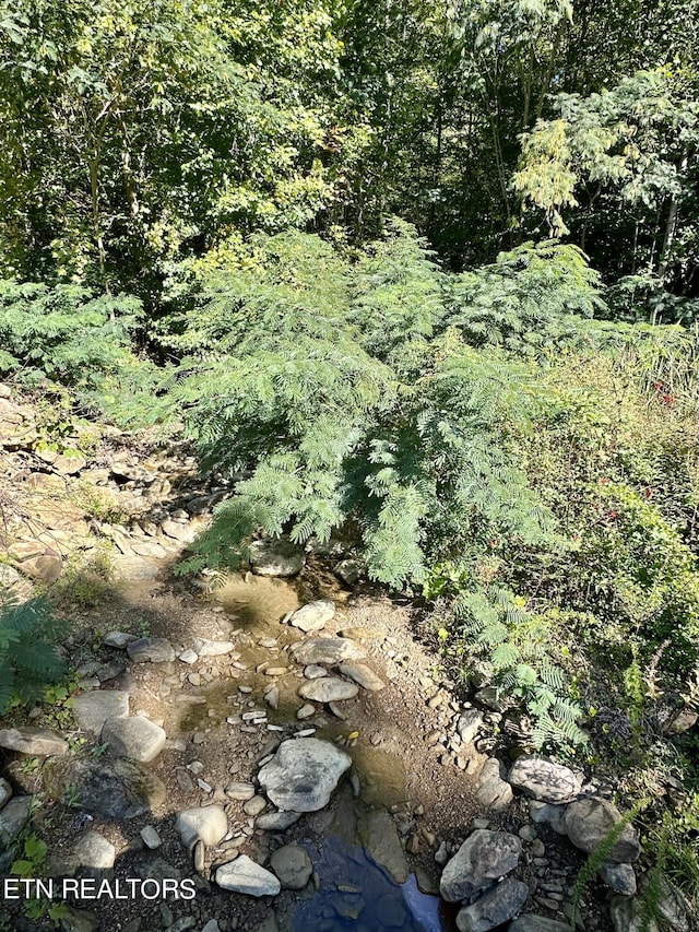 view of landscape with a wooded view