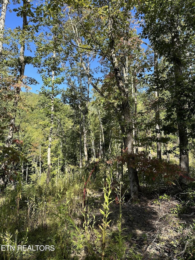 view of local wilderness with a view of trees