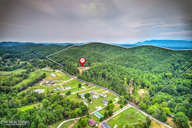 bird's eye view with a mountain view