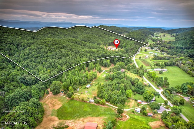 birds eye view of property featuring a mountain view