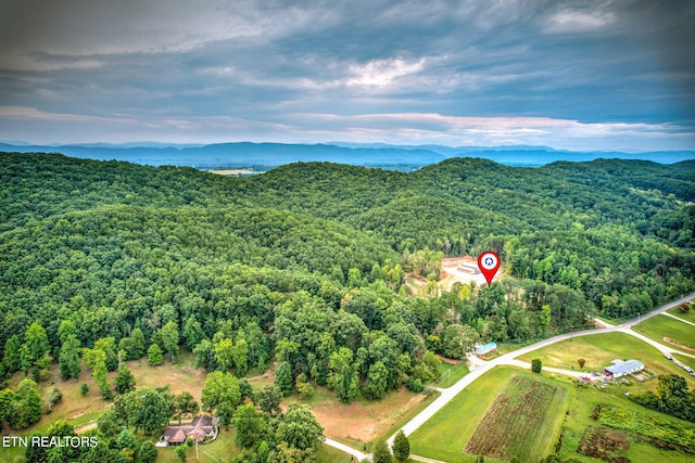 birds eye view of property with a mountain view