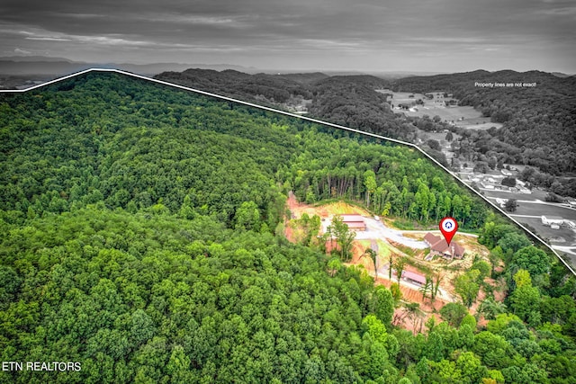 bird's eye view featuring a mountain view