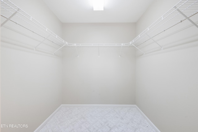 view of spacious closet