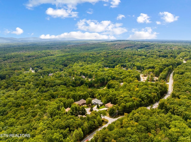 aerial view