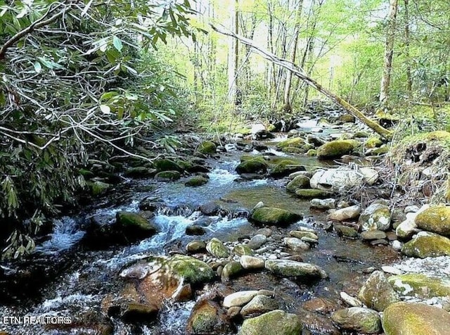 view of landscape