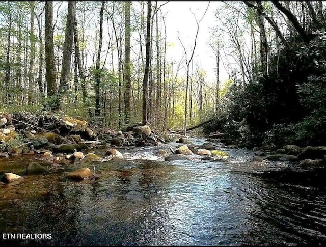 view of local wilderness