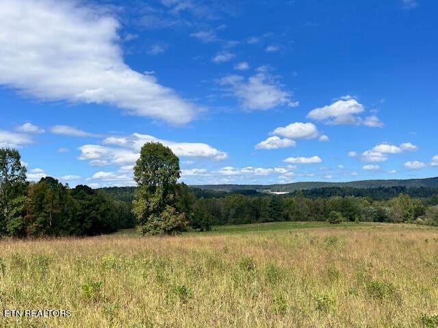 Listing photo 3 for Wilderness Trl, Rockwood TN 37854