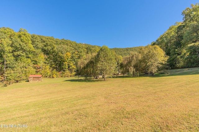 3130 Kulpan Way, Sevierville, TN 37862 - photo 7