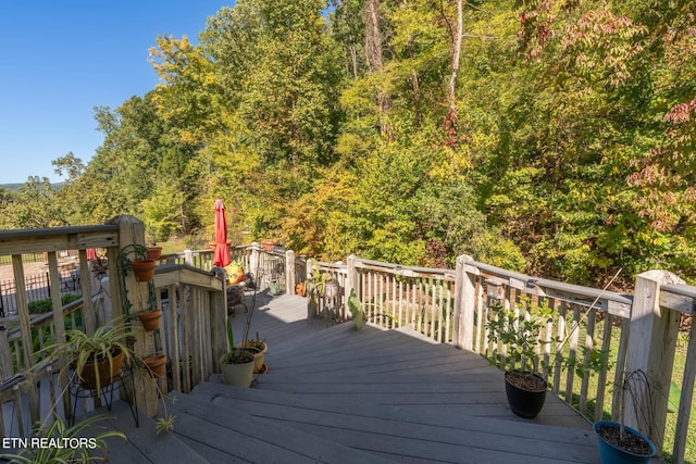 3130 Kulpan Way, Sevierville, TN 37862 - photo 9