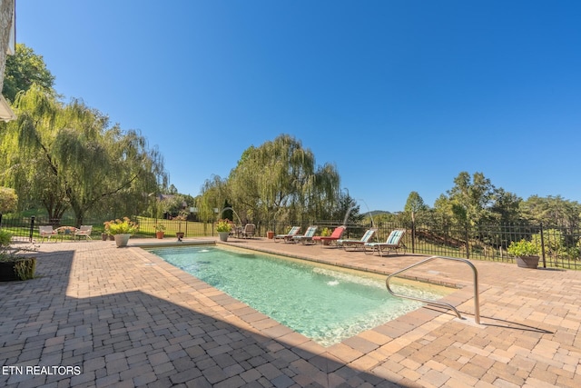 view of pool featuring a patio area