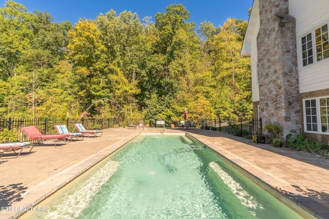 view of pool featuring a patio