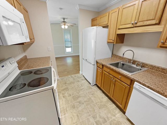 kitchen featuring white appliances, light hardwood / wood-style floors, sink, ceiling fan, and ornamental molding