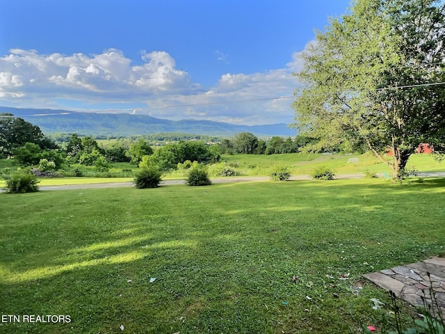 view of home's community featuring a yard and a mountain view