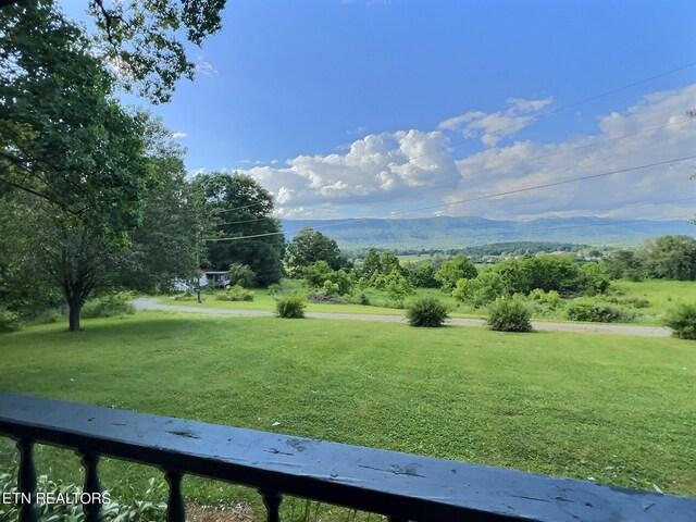 view of yard featuring a mountain view