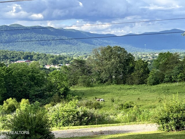 property view of mountains