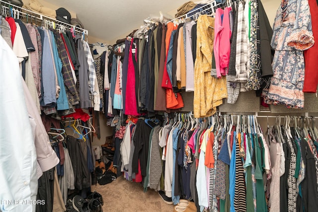 spacious closet with carpet