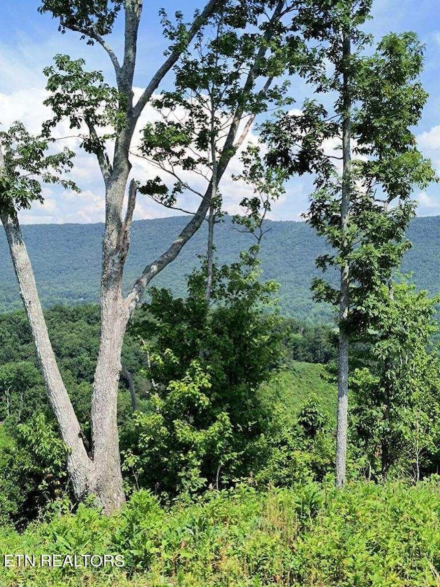 Ashe Cabin Hollow Rd, Harriman, TN 37748