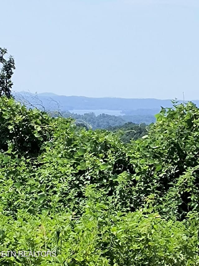 Ashe Cabin Hollow Rd, Harriman, TN 37748
