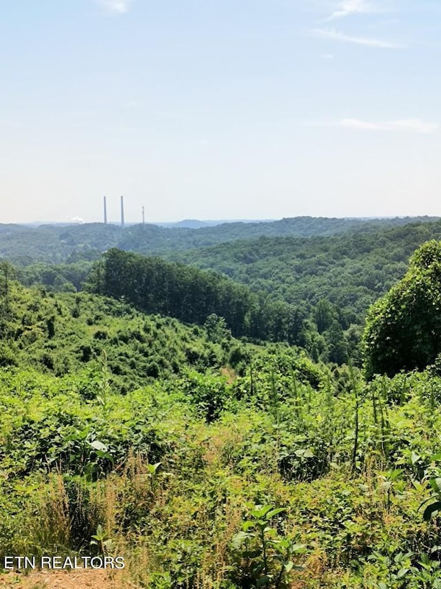 Ashe Cabin Hollow Rd, Harriman, TN 37748