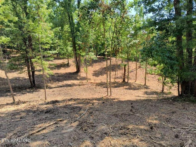 Ashe Cabin Hollow Rd, Harriman, TN 37748