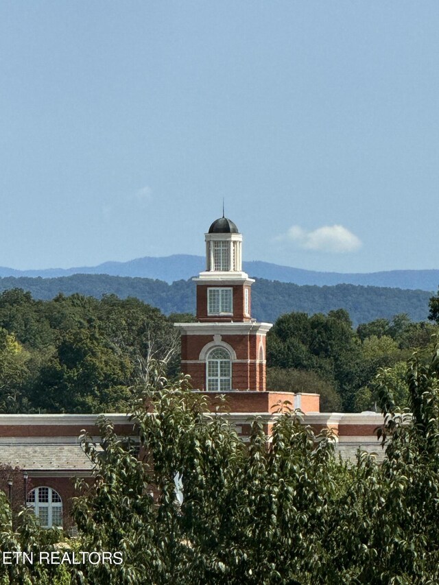 view of mountain feature