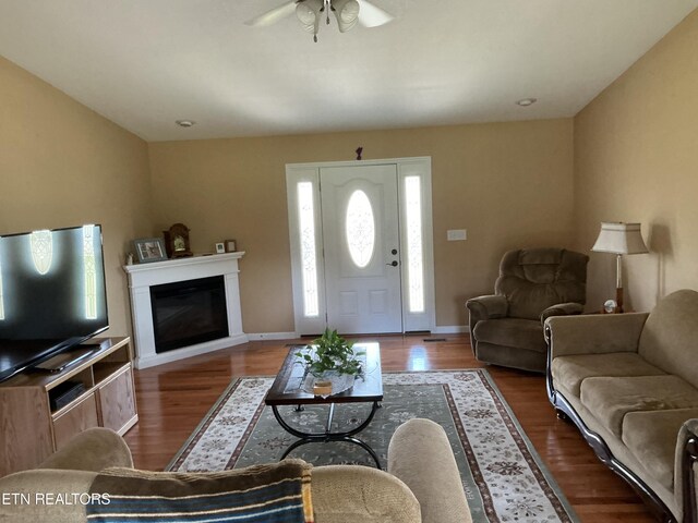 living room with ceiling fan and hardwood / wood-style flooring