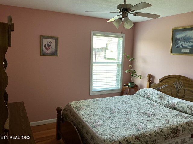 bedroom featuring ceiling fan, hardwood / wood-style flooring, and multiple windows