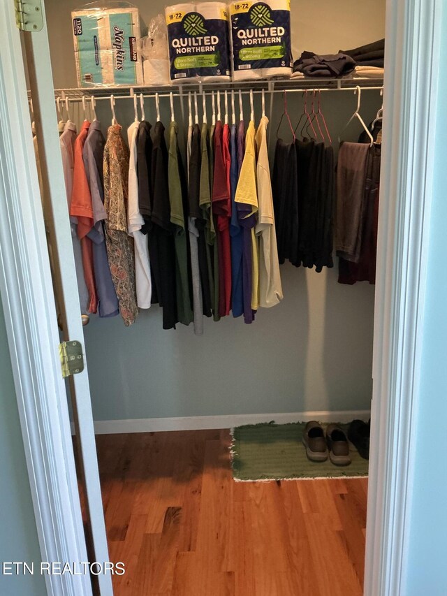 walk in closet with hardwood / wood-style flooring