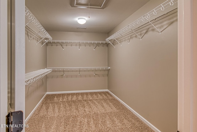 spacious closet with carpet flooring