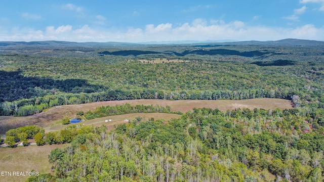 aerial view with a mountain view