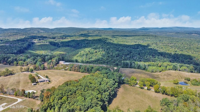 birds eye view of property featuring a mountain view