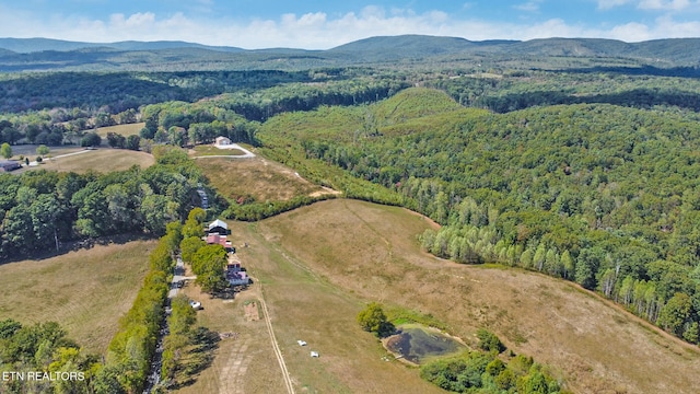 birds eye view of property featuring a mountain view