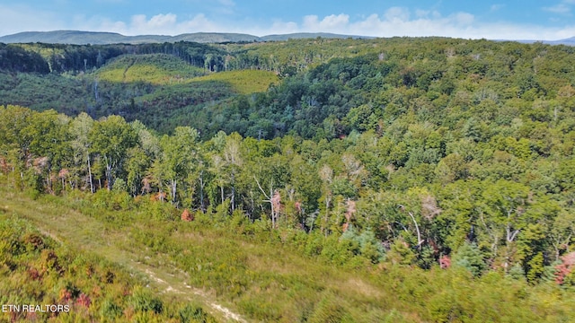 view of mountain feature