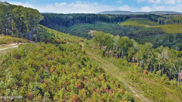 bird's eye view featuring a mountain view