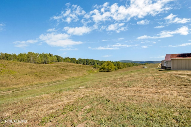 view of yard with a rural view