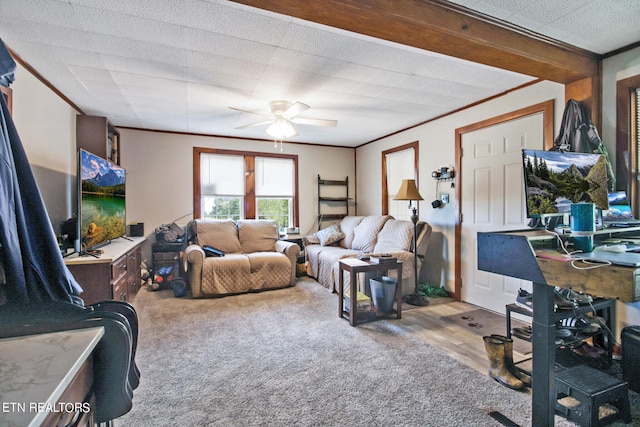 living room featuring a textured ceiling, light hardwood / wood-style floors, ceiling fan, and crown molding