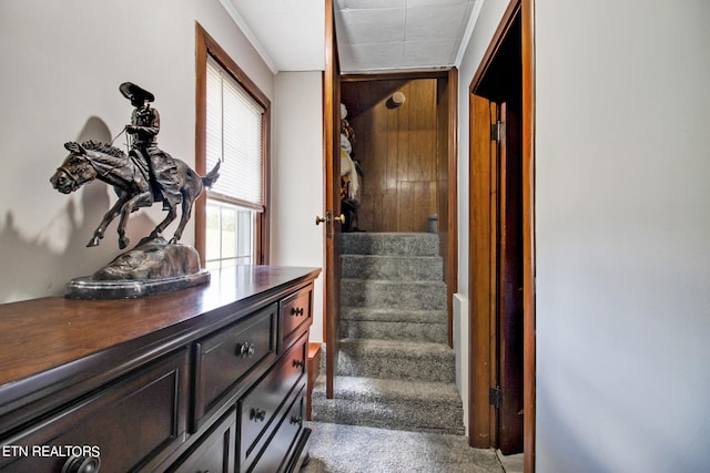 stairway featuring carpet floors and crown molding