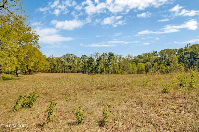 view of local wilderness with a rural view