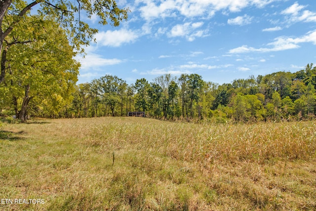 view of local wilderness