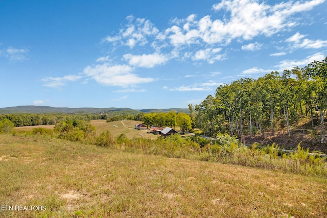 property view of mountains with a rural view