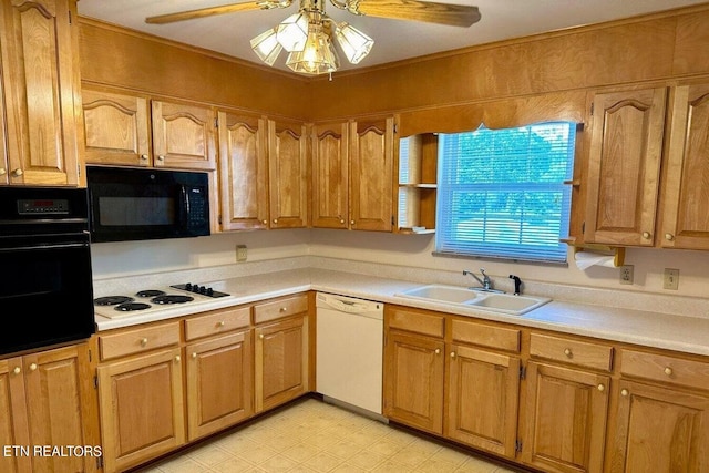 kitchen featuring black appliances, ceiling fan, and sink