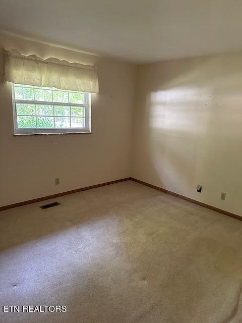 spare room featuring carpet