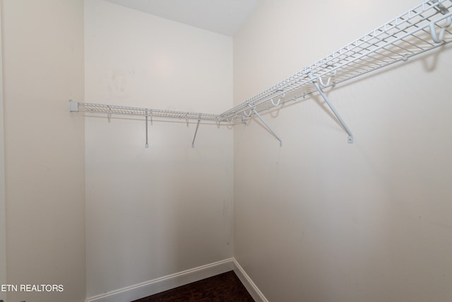 walk in closet with dark hardwood / wood-style floors