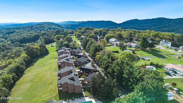 birds eye view of property featuring a mountain view